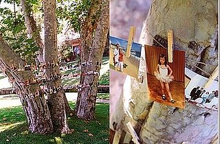 Casa Quickie: Displaying Treasured Photos at Your Reception